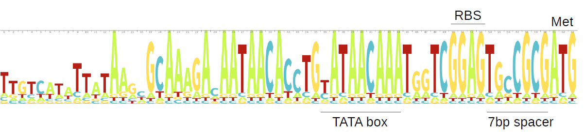 figure1-upstream logo