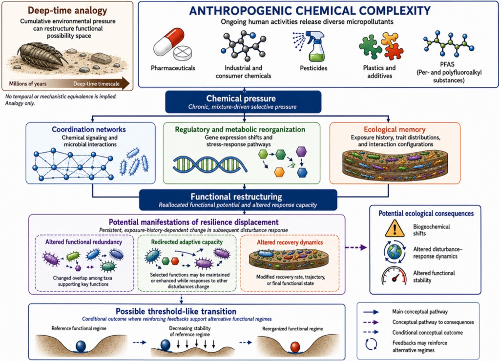 Thumbnail for Micropollutants and the Restructuring of Microbial Resilience in the Anthropocene